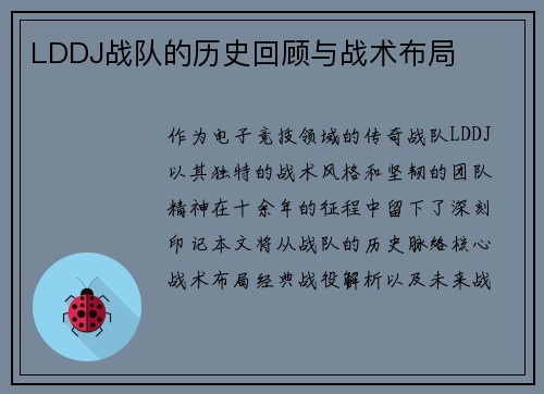 LDDJ战队的历史回顾与战术布局