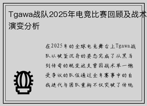 Tgawa战队2025年电竞比赛回顾及战术演变分析